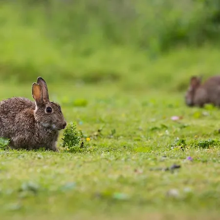 Hébergement de vacances Yorkshire Dales 2 By Together Travel - 3-bed Family Retreat Richmond (North Yorkshire)